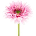 Floristik24 Gerberas artificiels roses pour jardin, 47 cm, lot de 6
