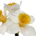 Floristik24 Jonquille Artificielle Fleurs en Soie Jonquille Blanche 40cm 3pcs