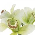 Floristik24 Orchidées artificielles fleurs artificielles dans un vase blanc/vert 28cm