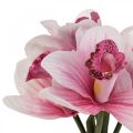 Floristik24 Orchidées artificielles fleurs artificielles en vase blanc/rose 28cm