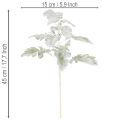 Branche artificielle de séneçon (Senecio), finement travaillée, 45 cm, 3 pièces | Floristik24.be