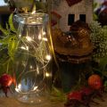 Guirlande lumineuse à piles pour intérieur, blanc chaud, 10 LED, 1 m de longueur, lot de 6 | Floristik24.be