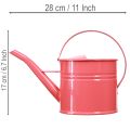 Arrosoir décoratif en métal, pot de fleurs rose, 1,25 l, intérieur/extérieur, balcon | Floristik24.be