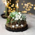 Plateau métal plateau bougie rond noir Ø20cm H2.5cm 2pcs | Floristik24.be