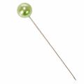 Épingles à tête de nacre, vert pomme, Ø10 mm, 60 mm | Floristik24.be