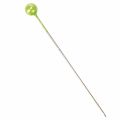 Épingles à tête de nacre Ø6 mm 65 mm vert pomme | Floristik24.be