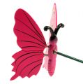 Floristik24 Papillon sur pique 8cm Rose