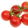 Tomate vigne Ø4cm 1 panicule